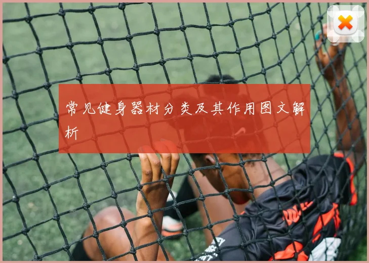 常见健身器材分类及其作用图文解析