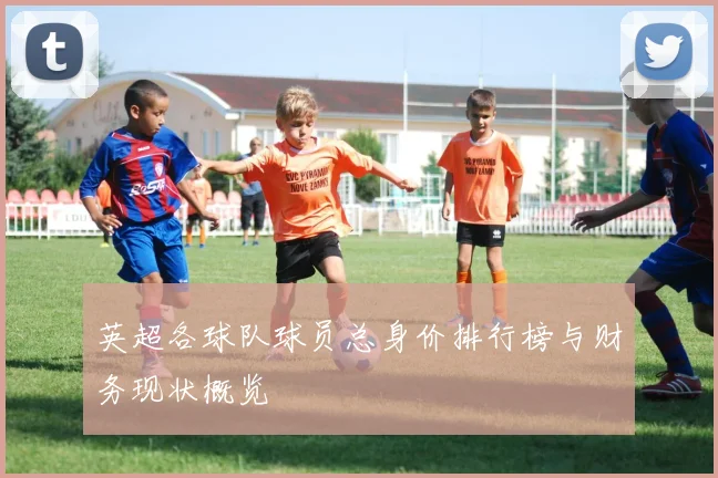英超各球队球员总身价排行榜与财务现状概览