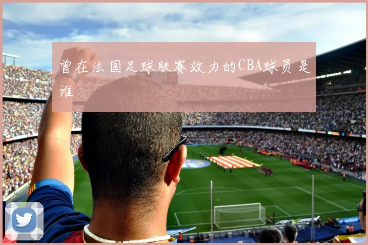 曾在法国足球联赛效力的CBA球员是谁